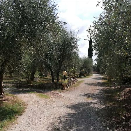 Nel Chianti Lungo La Francigena Apartment กอลเลวัลเดลซา ภายนอก รูปภาพ