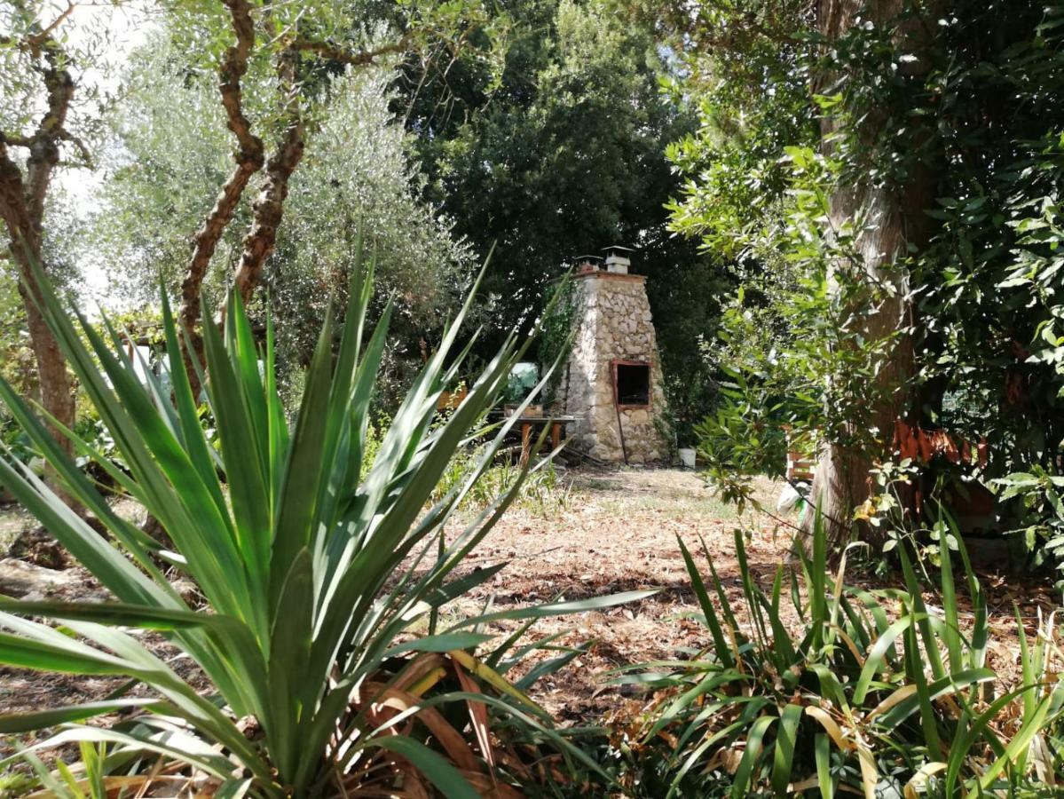 Nel Chianti Lungo La Francigena Apartment กอลเลวัลเดลซา ภายนอก รูปภาพ
