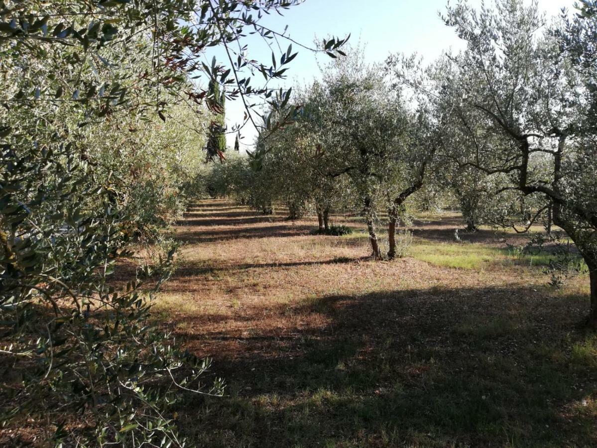 Nel Chianti Lungo La Francigena Apartment กอลเลวัลเดลซา ภายนอก รูปภาพ