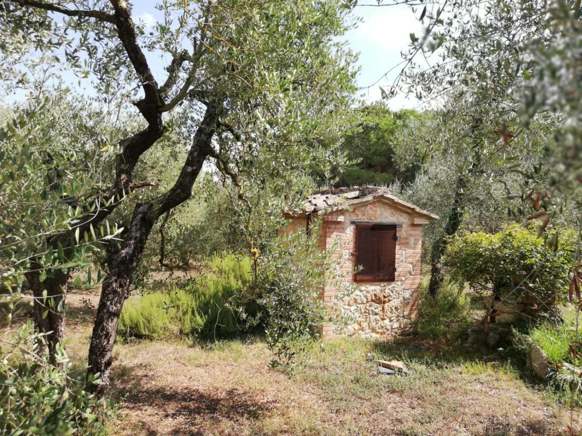 Nel Chianti Lungo La Francigena Apartment กอลเลวัลเดลซา ภายนอก รูปภาพ