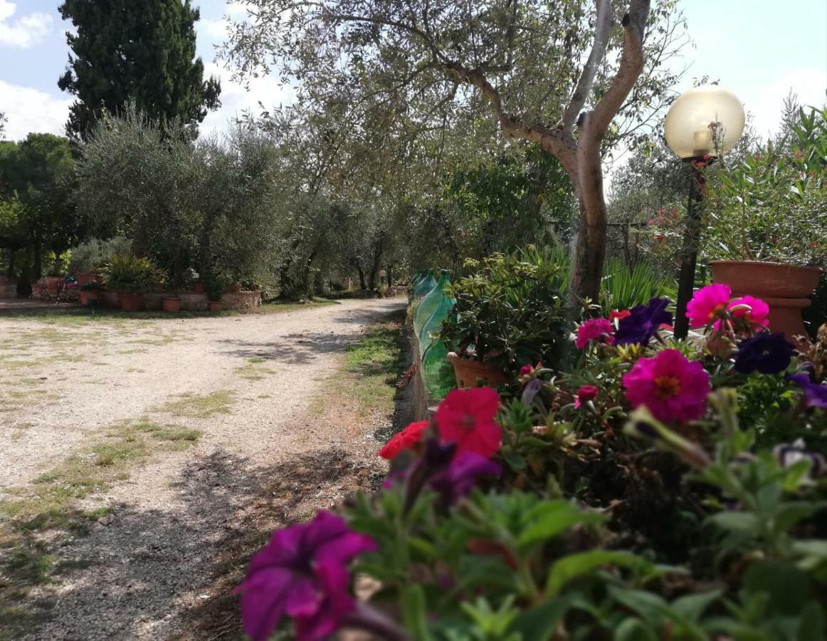 Nel Chianti Lungo La Francigena Apartment กอลเลวัลเดลซา ภายนอก รูปภาพ