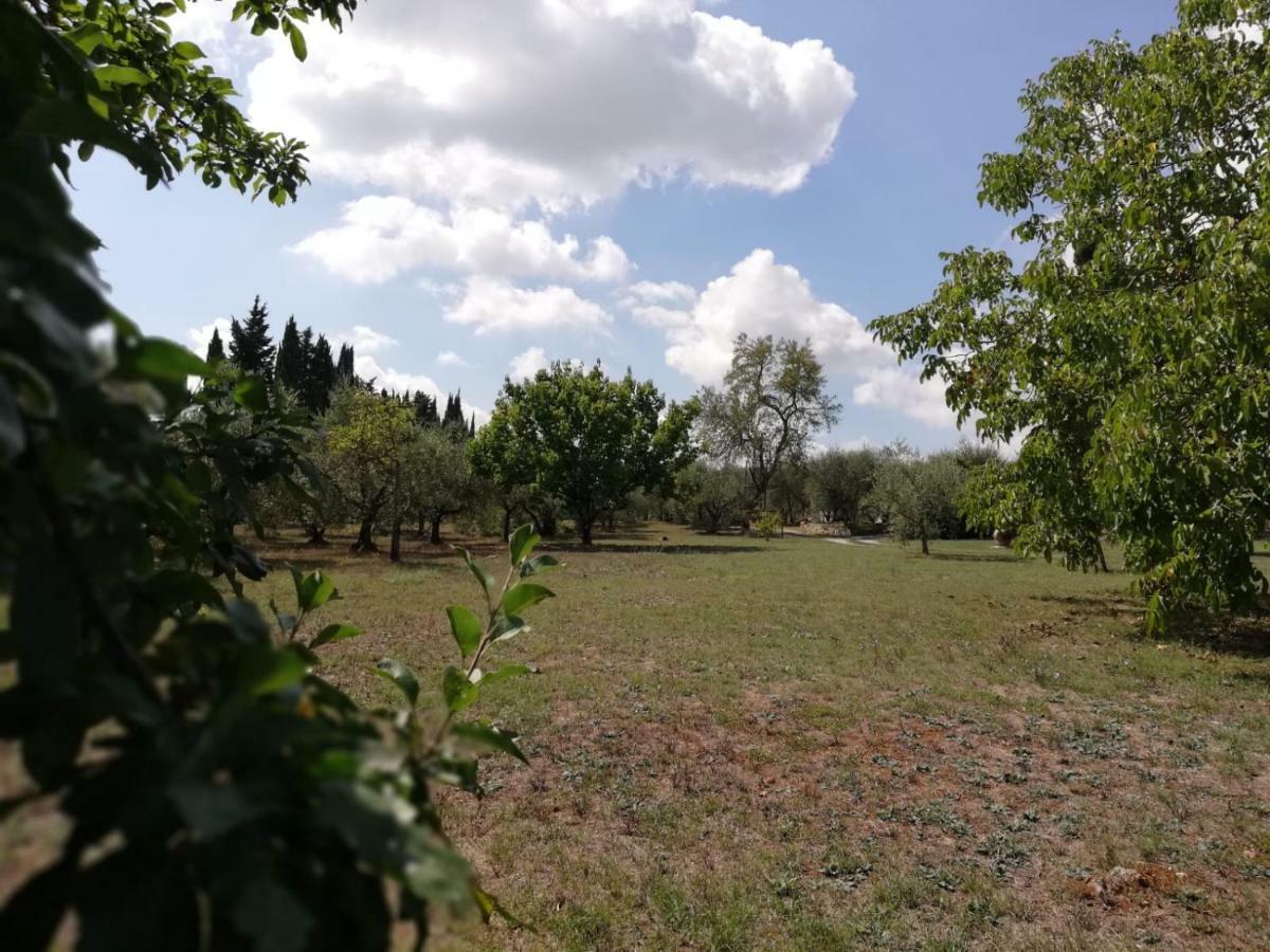 Nel Chianti Lungo La Francigena Apartment กอลเลวัลเดลซา ภายนอก รูปภาพ