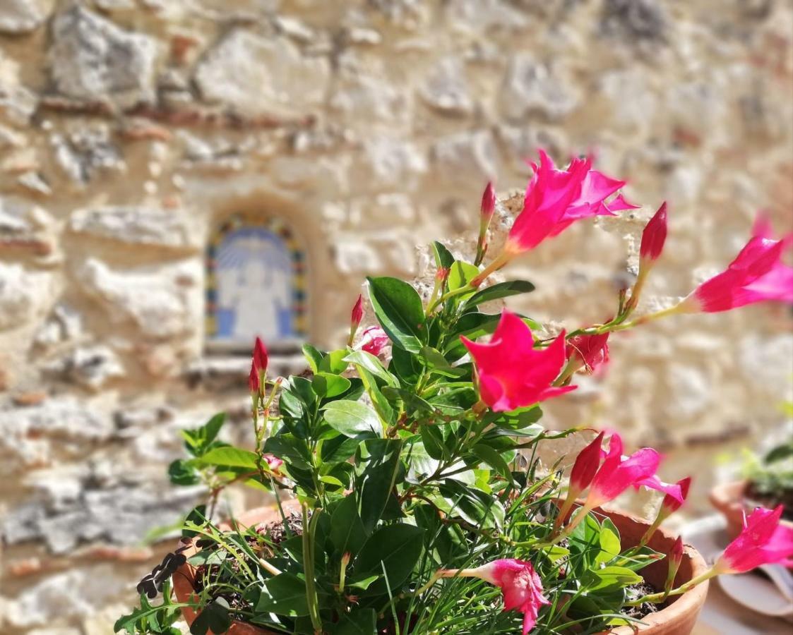 Nel Chianti Lungo La Francigena Apartment กอลเลวัลเดลซา ภายนอก รูปภาพ