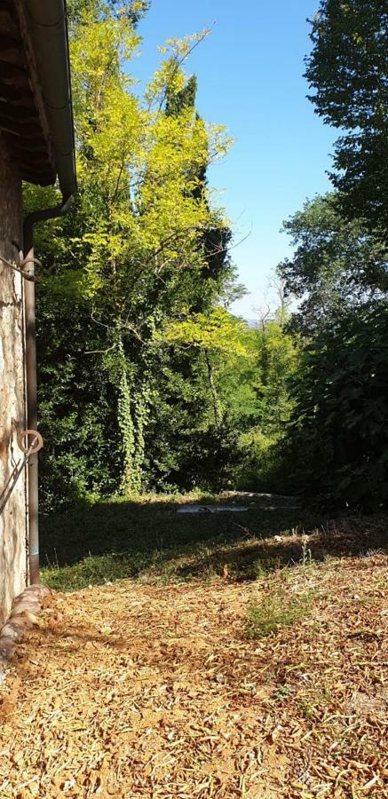 Nel Chianti Lungo La Francigena Apartment กอลเลวัลเดลซา ภายนอก รูปภาพ