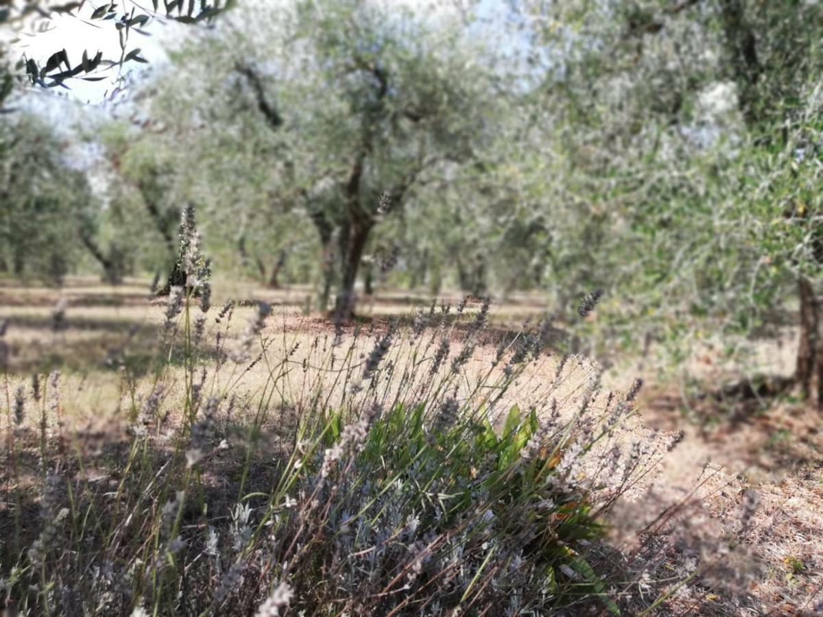 Nel Chianti Lungo La Francigena Apartment กอลเลวัลเดลซา ภายนอก รูปภาพ