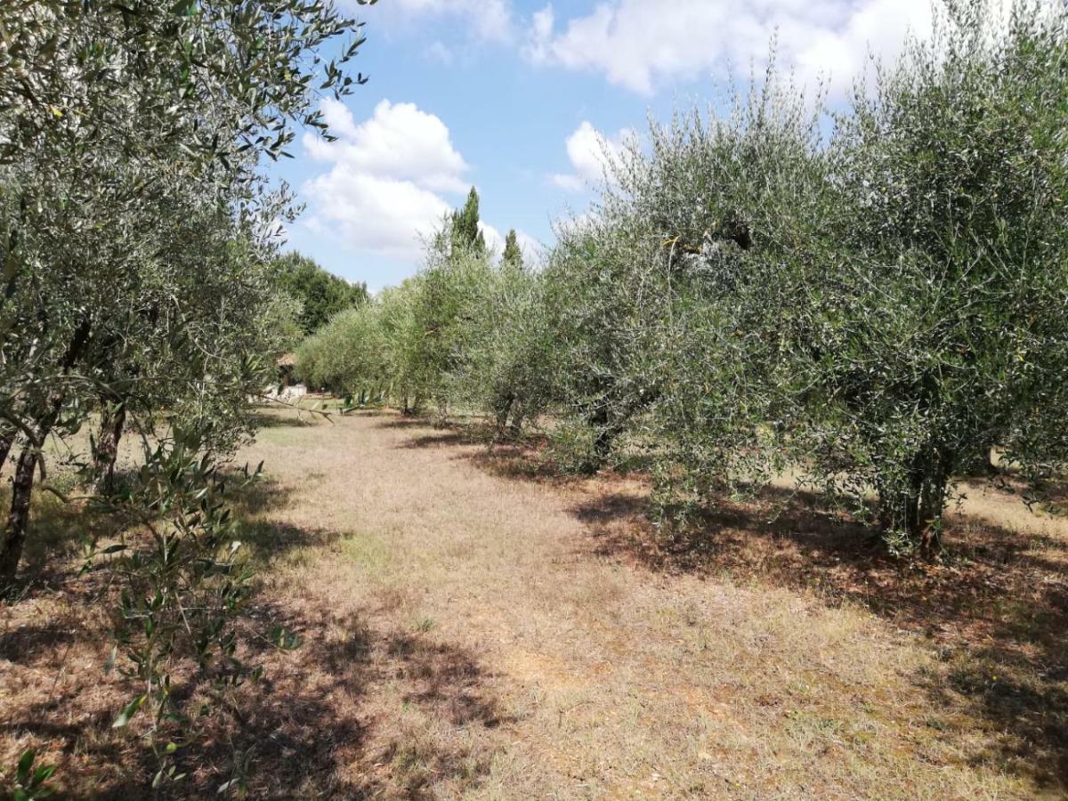 Nel Chianti Lungo La Francigena Apartment กอลเลวัลเดลซา ภายนอก รูปภาพ