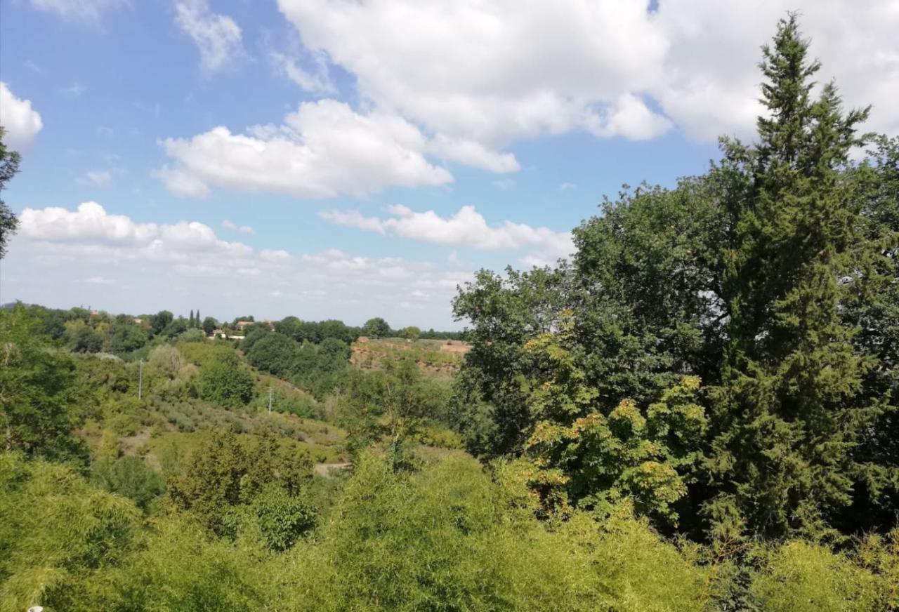 Nel Chianti Lungo La Francigena Apartment กอลเลวัลเดลซา ภายนอก รูปภาพ