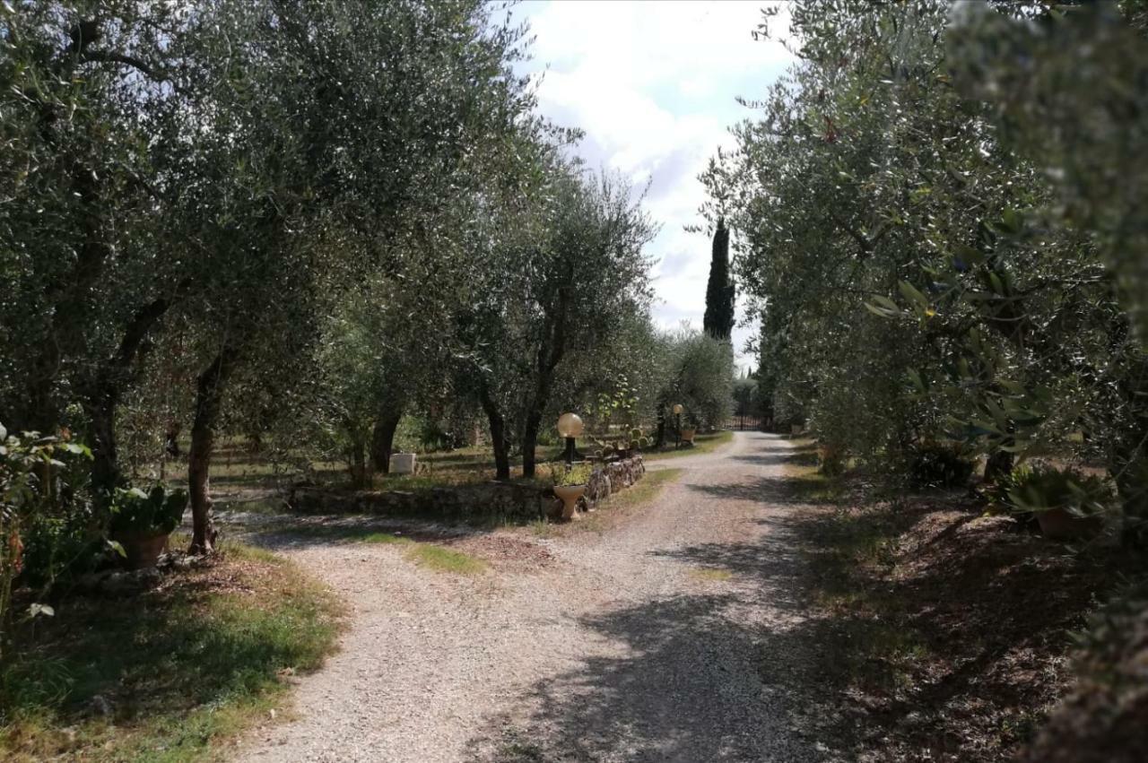 Nel Chianti Lungo La Francigena Apartment กอลเลวัลเดลซา ภายนอก รูปภาพ